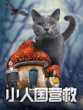 久久久久久综合网天天